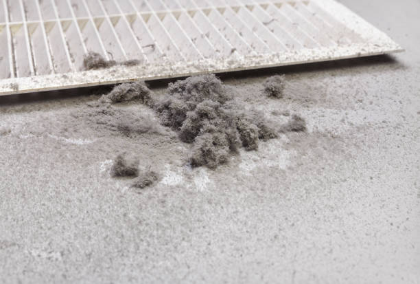 Best Affordable Air Duct Cleaning  in Monee, IL
