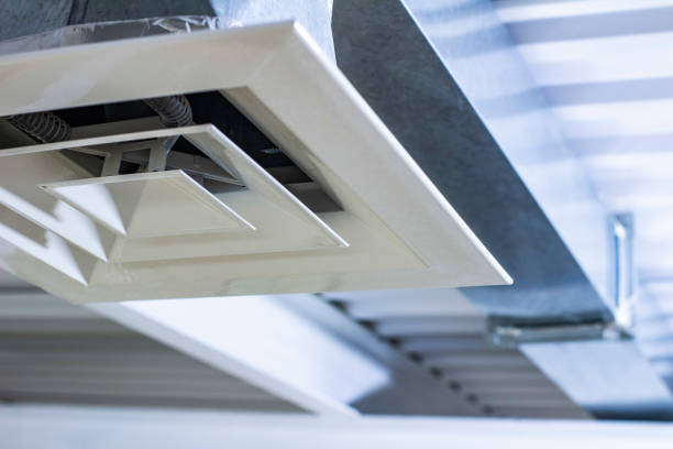Best Professional Duct Cleaning Services  in Monee, IL