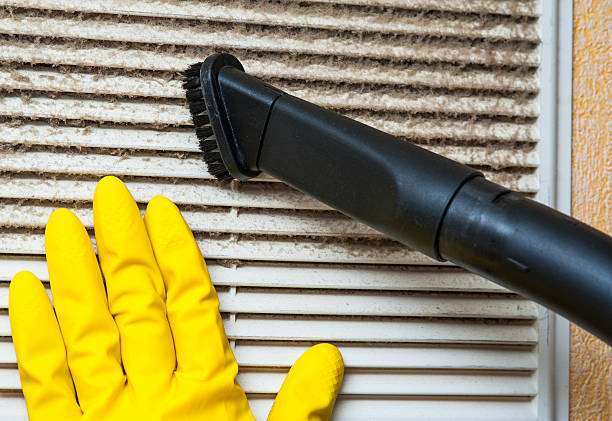 Best Affordable Duct Cleaning Services  in Monee, IL