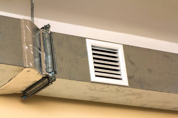 Best HVAC Duct Inspection Services  in Monee, IL